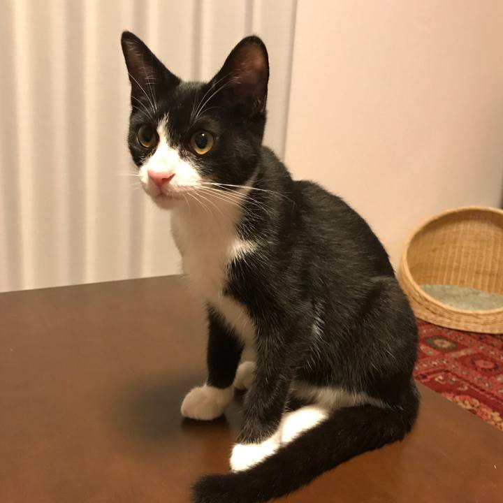 E451d9b9 14e0 4fb0 af45 be6435386b4a