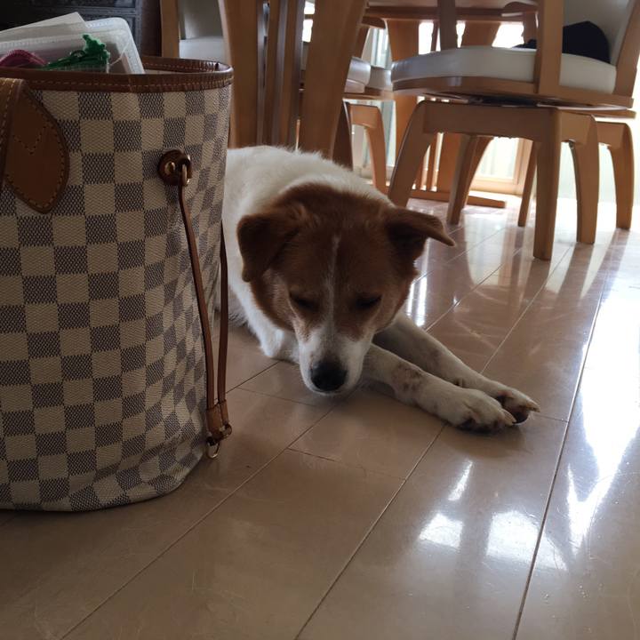 E451da05 0c42 4d6b a3e0 dc36f049dc85