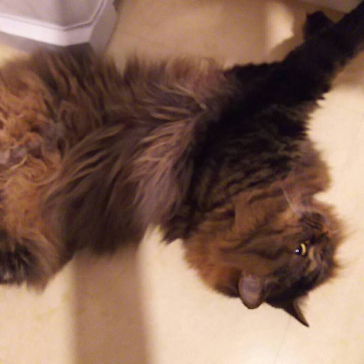 E4523e6b 17be 486c b240 c5aa275bb1a7