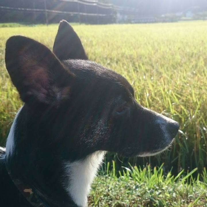 E452835e b7c1 4dfb 8e9e c7c11bcdf031