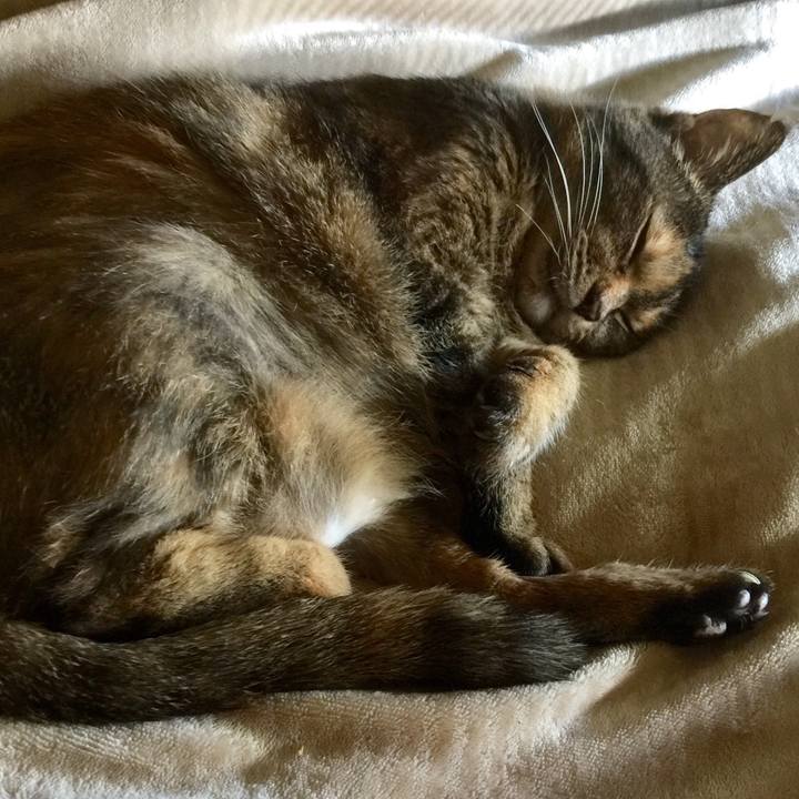 E45291fe 9352 4aa1 873c a58b96478469