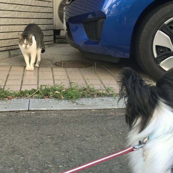 E452a728 9118 4915 ac0d e208b2b270e8