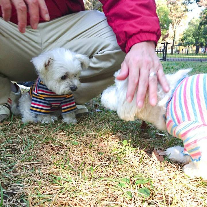 E4533f3d 4965 4ba8 9bca 824405089e58