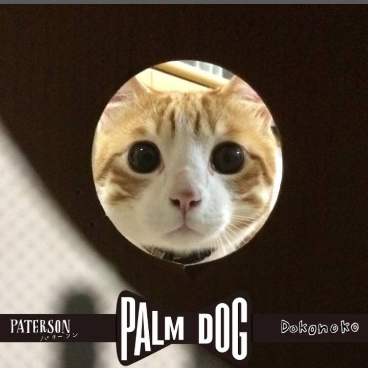 E4538dac c98f 427a bcff dbcb43404893