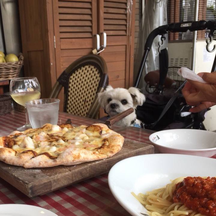 E4547ed1 a0bb 45f7 bf27 5fcd6ee596ff