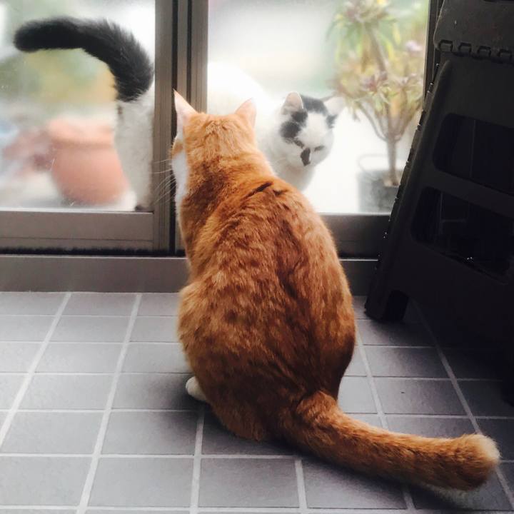 E4555146 6cc8 4918 b84a ebb863d25cb8