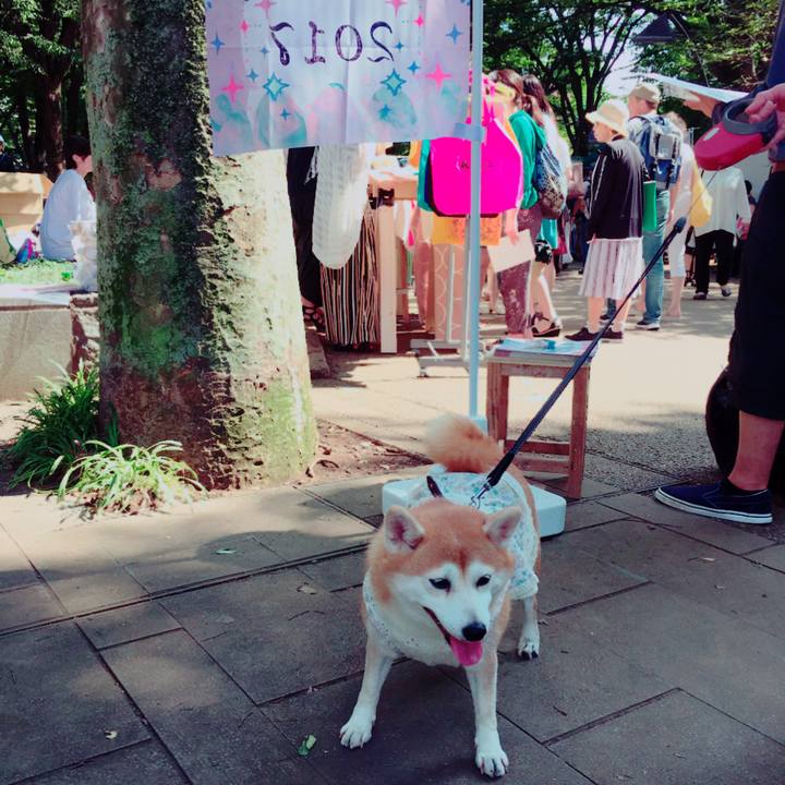 E455e9b1 7ec2 4767 94e3 f5e086dad6c0