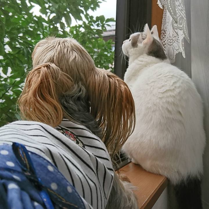 E456086e 5af0 4920 a99e 1c82066da085