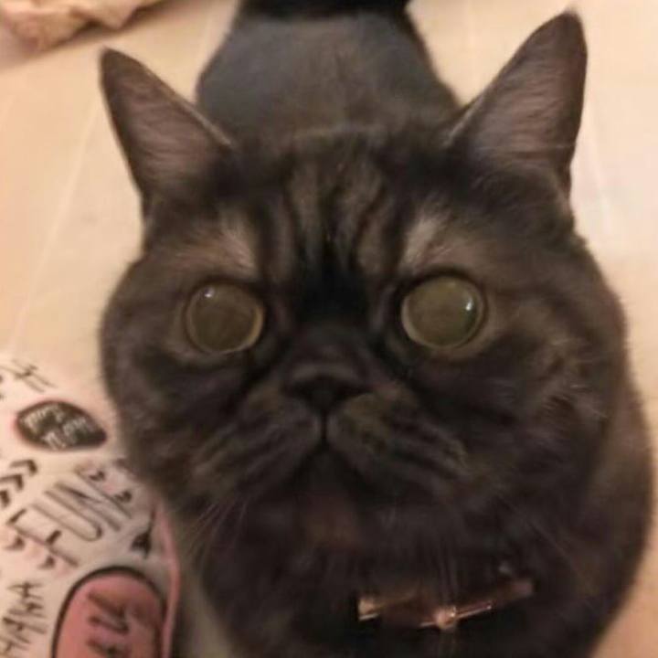 E4568c3b 57cb 4b4d a110 8bc9cc54de44