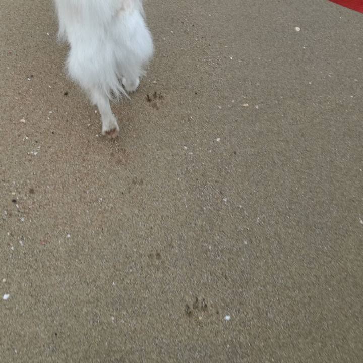 E45710c4 b53c 4e3b 8ebf fe55077358df