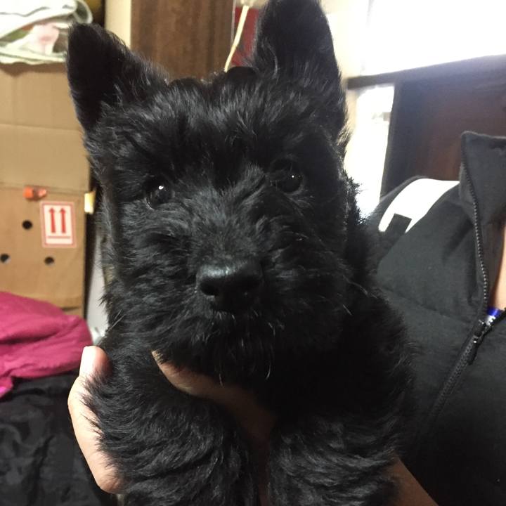 E45a2e2c 1ca8 49a1 a092 d9c9b0491078