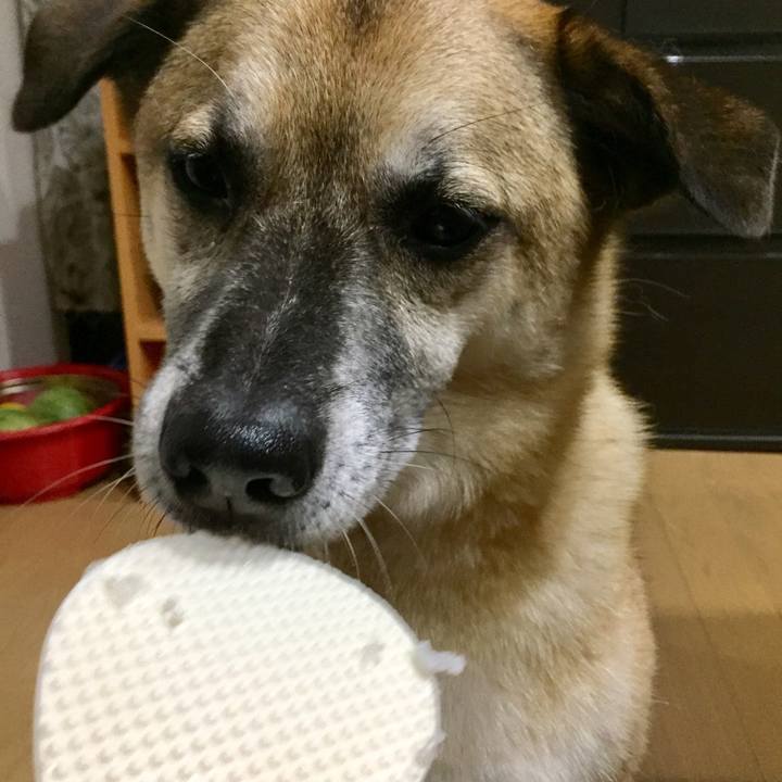 E45b45d9 b964 47a2 81ae 95247e2e728e