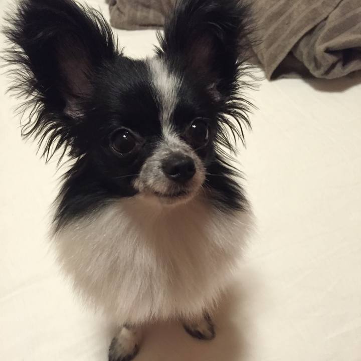 E45b83be c0d1 4987 aca1 421c23a12113