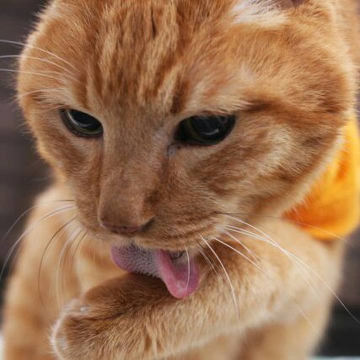 E45ca97c 85e2 49c1 b685 1939d31f0ef3