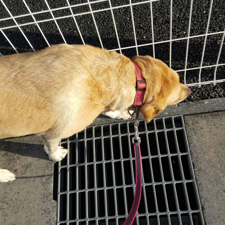 E45d1e36 cbae 46f0 b38a ea75d1c51422