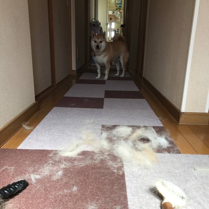 E45deed7 e383 49ba bdc8 866a63c610bf