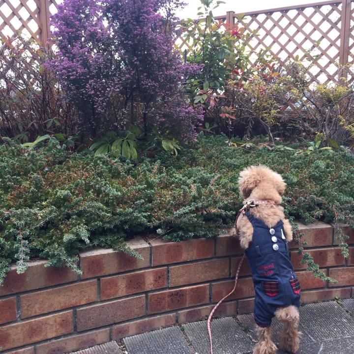 E45df80b 5f56 4cb4 a03c a5486d695f5c