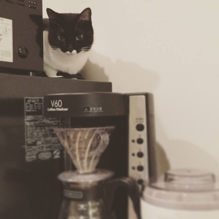 E45e0fad 0f54 4bb2 856f 927c1f933da5