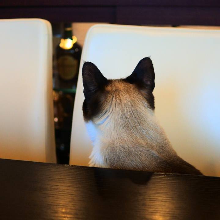 E45e9543 90ea 43f7 ac17 11beca055764