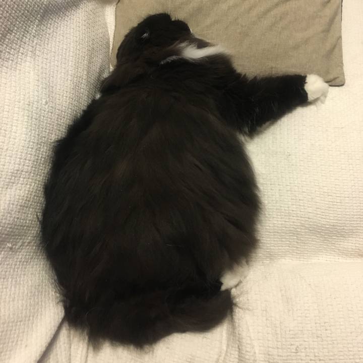 E45ecc01 6db2 44ad 9bb3 6a5704cedddd