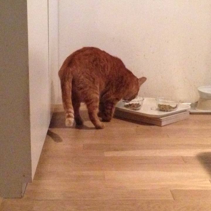 E45ed1db 1b3b 4de8 a9e3 3c495a2181dc