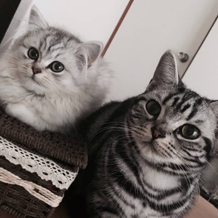 E45ed723 5bcc 4377 a270 585df8e8c42b