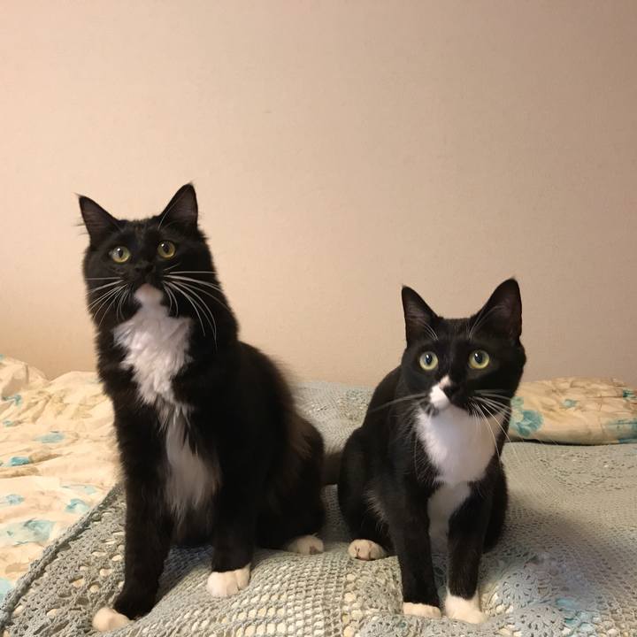 E45f23a7 c121 4375 97e1 3183c85831da