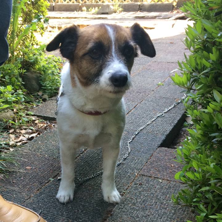 E45f7f08 33e3 4a30 8146 4e0c8d5ef287