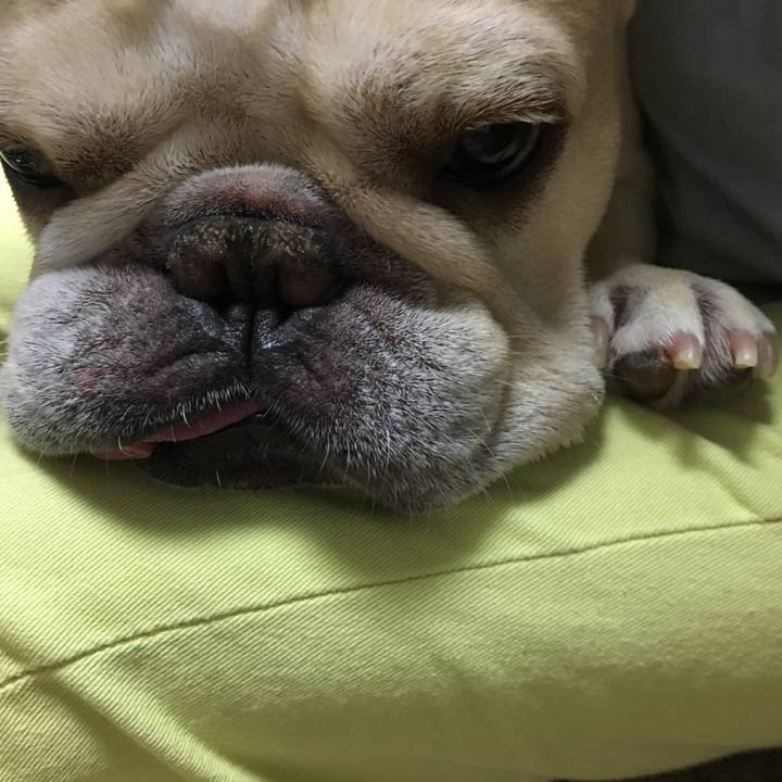 E45f8a03 b155 436e ae79 b73b79a287a6