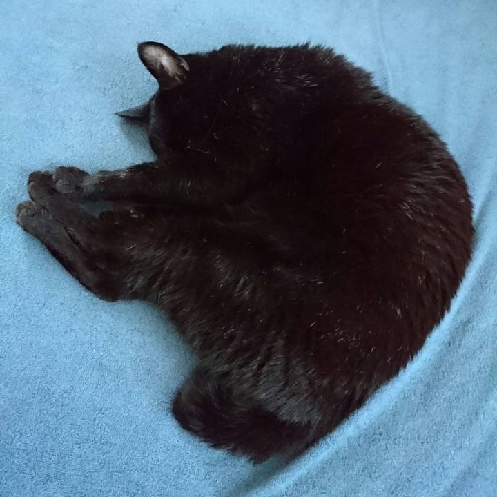 E45fe6c4 83c8 43a0 b37a 7ee94a3ea1c3