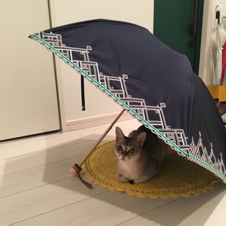 E460536c abc5 4e3c 8a3e 073bc5979c36