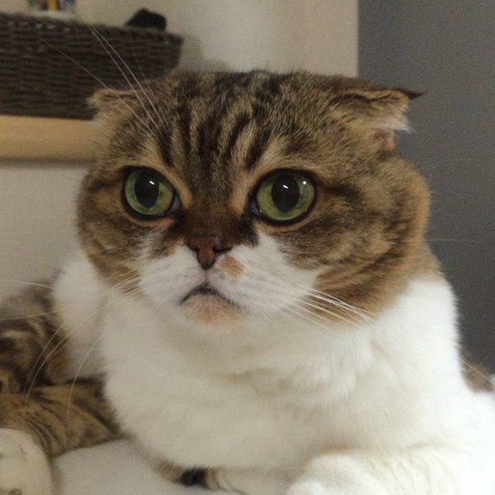 E460abb6 f6b6 44ed 979f 4152f62f2f4e