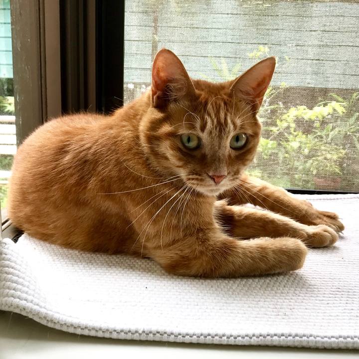 E4611051 228c 45d4 85fe 0e35f489052d