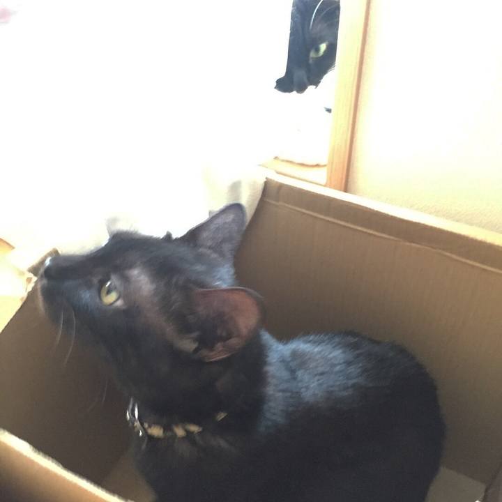 E46170b6 7299 4033 883c 12fb747f611f