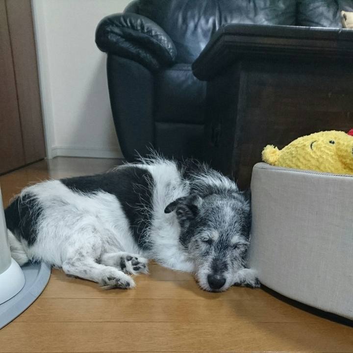 E46214f6 995c 4c84 bb0f 3d318c34fe7c