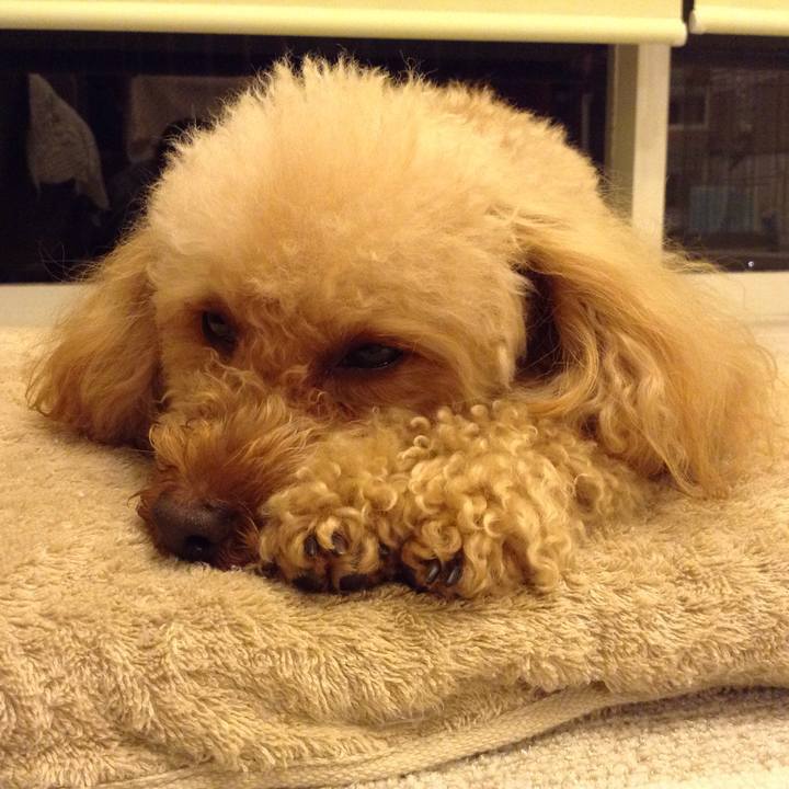 E4624ba6 7e19 4d60 9086 fb158f1ce90e