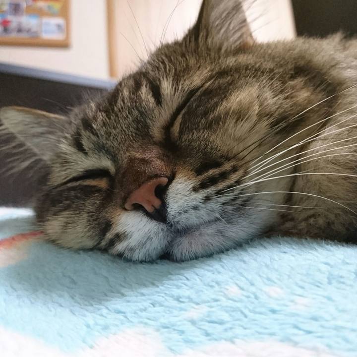 E4625b06 f2e1 4fa6 9ee3 20076d4180e7