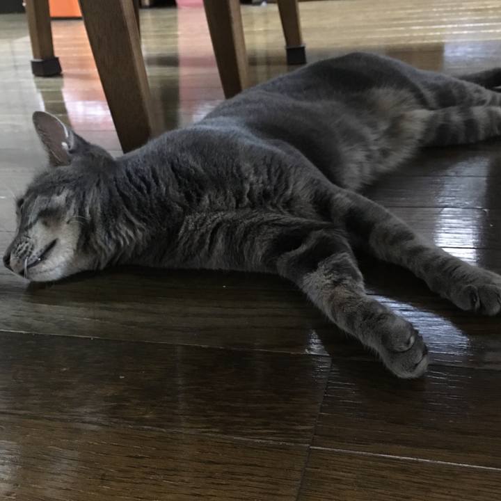 E462711c 81f0 4474 9a3f 330df6e9b1a9