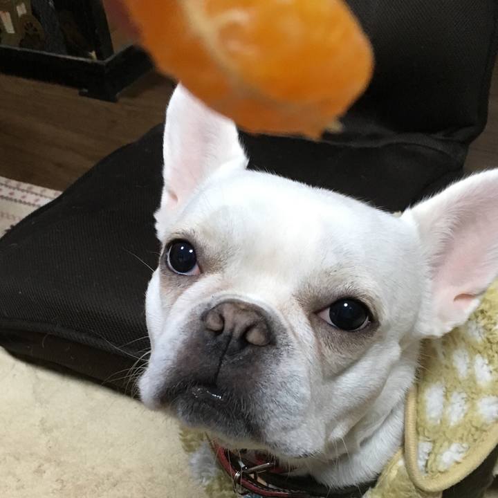 E4634041 4177 4ca9 bc00 1c55b5ab925a