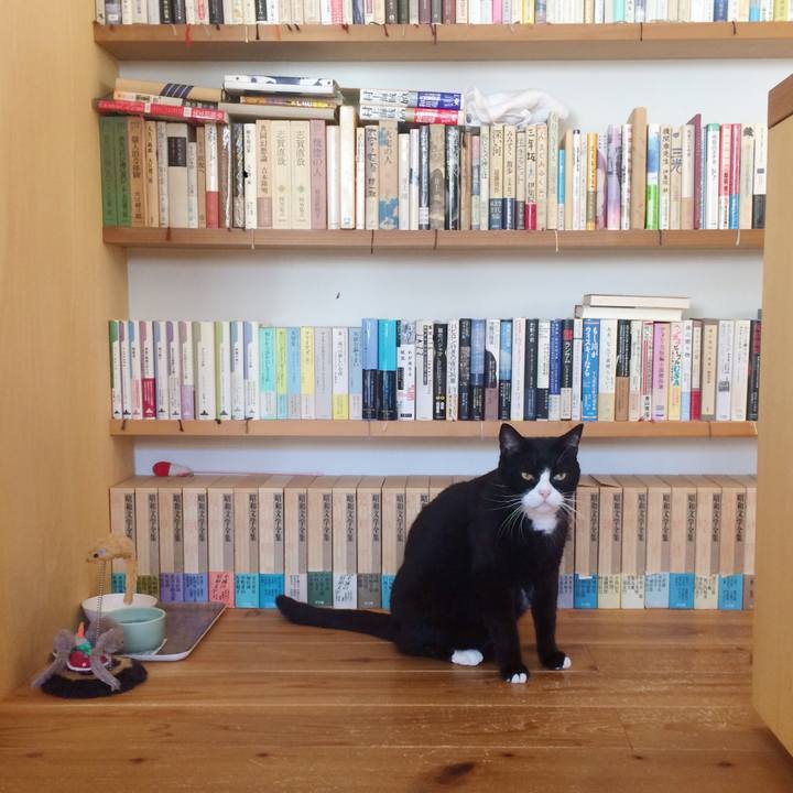 E463d20d 85df 49c1 aaff 912f4548f2d2