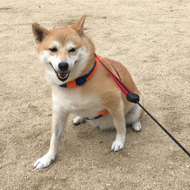 E46410ec 2ae6 4748 b6df abfe1a514995