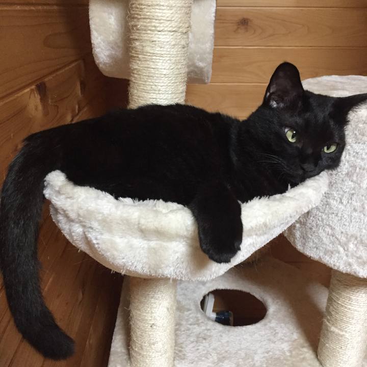 E4658ade 324e 461d a6b4 772386dd4d4c