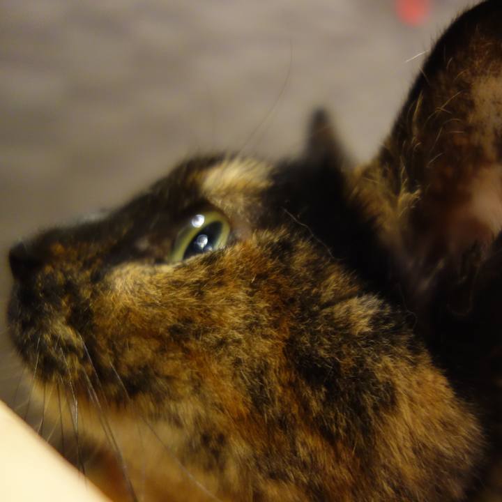 E4658f28 56e4 4759 b314 a11c91486f56