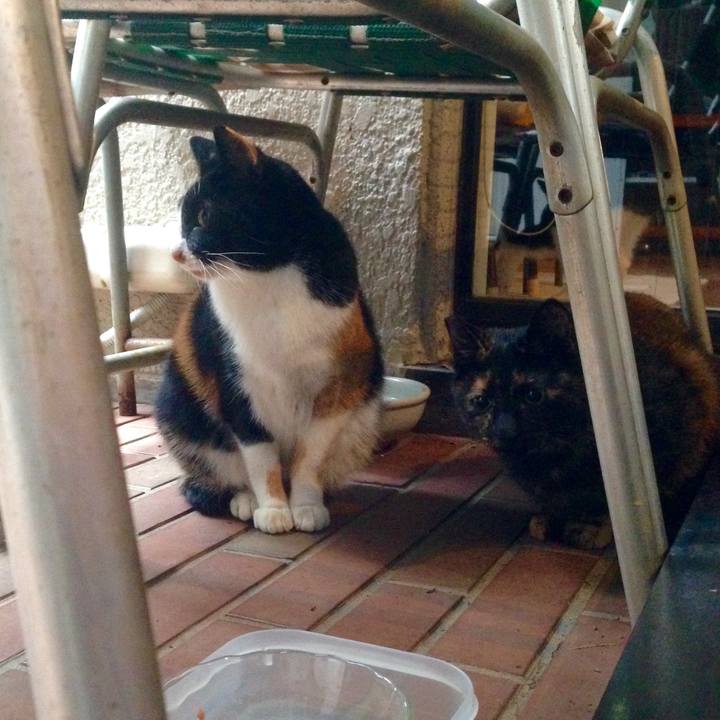 E465f961 4d47 4600 b2a2 5fa5b11ca935