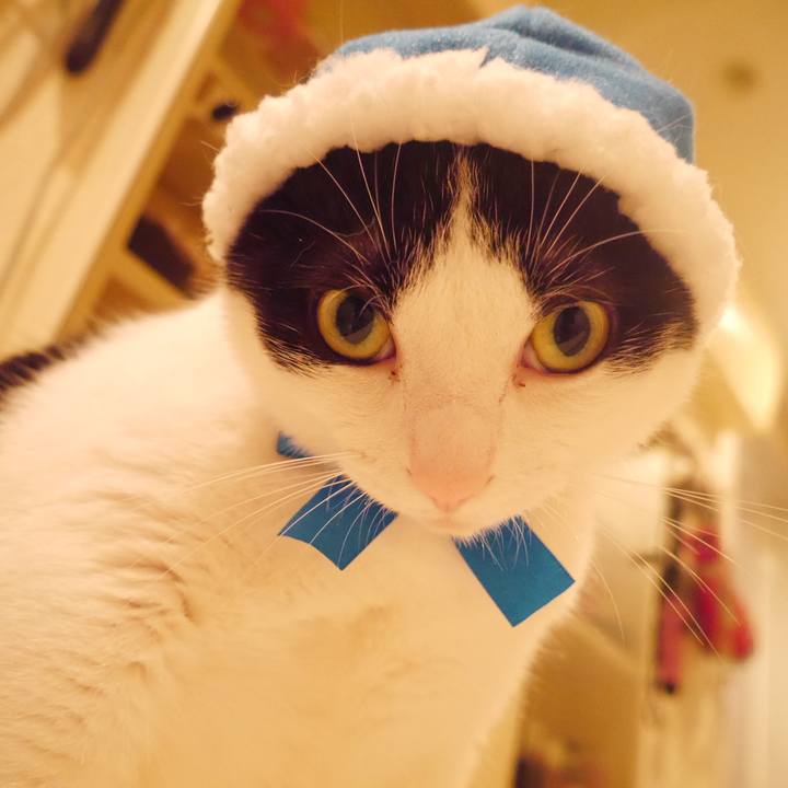 E4668293 fcdc 49e9 99a2 902f1de990c5