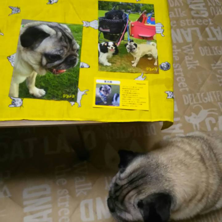 E466c9aa 717e 4f53 9f82 fb9f1e1d40b0