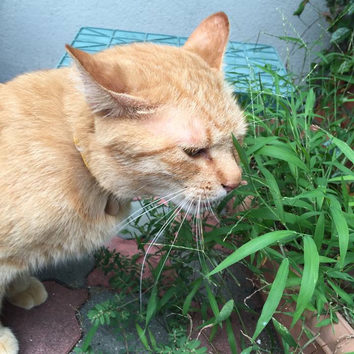 E467381b e53b 4421 b9fb 39d7bfaae38a