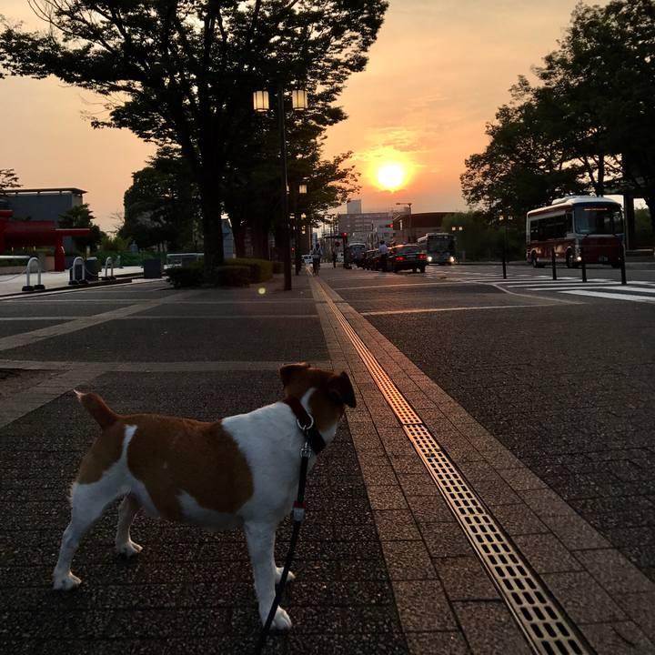 E4675f17 76a4 4cfa 8b27 b80df39083bd