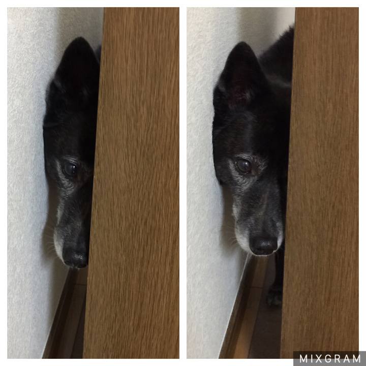 E4684dad 38e8 4d0f 9c3c 5f1714cede0b