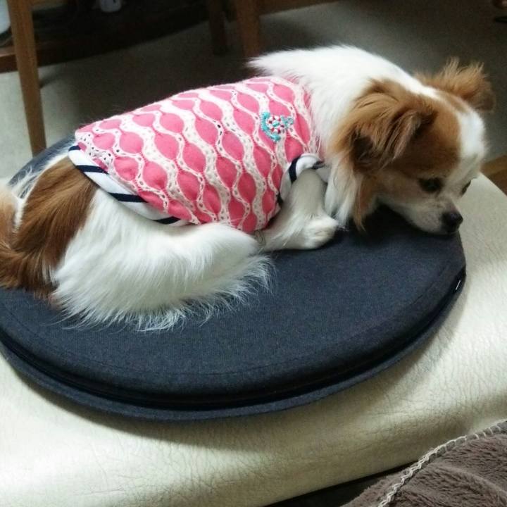 E4694cba 69c6 4a39 b048 c9331c548875